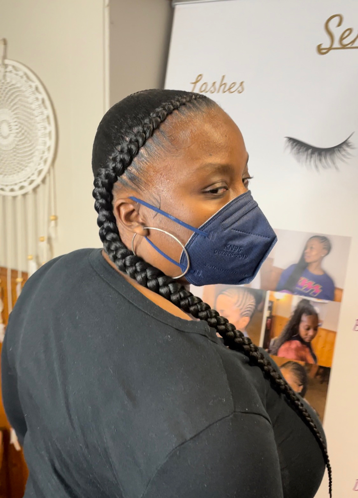 2 Feed-In Braids- No Heat