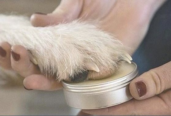 Paw Balm