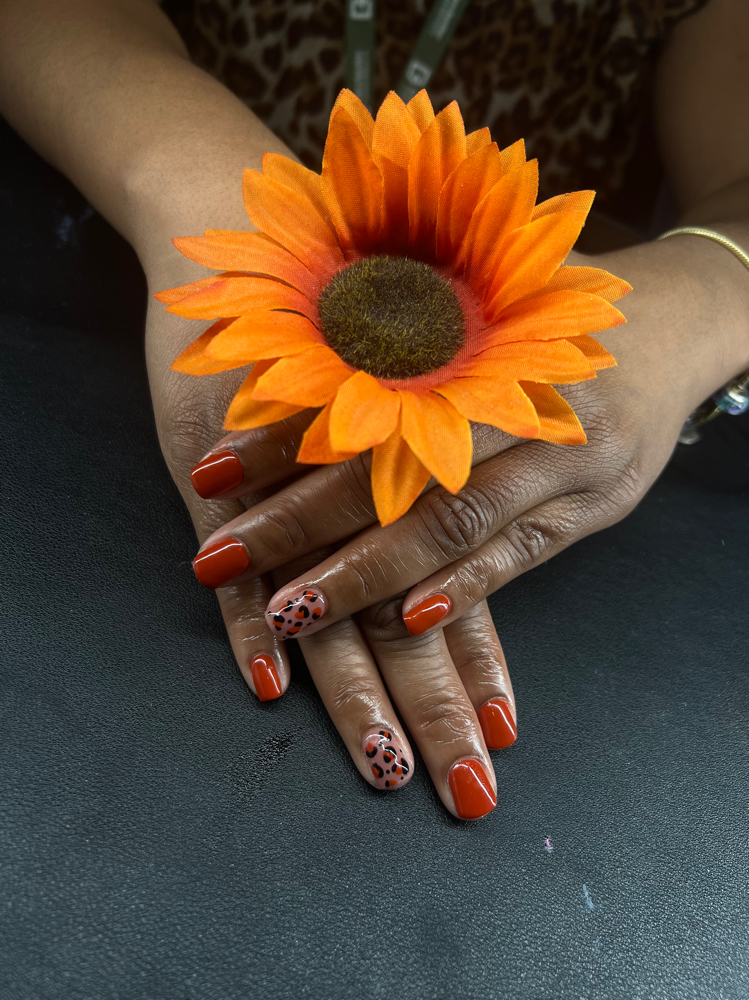 Gel Polish ONLY