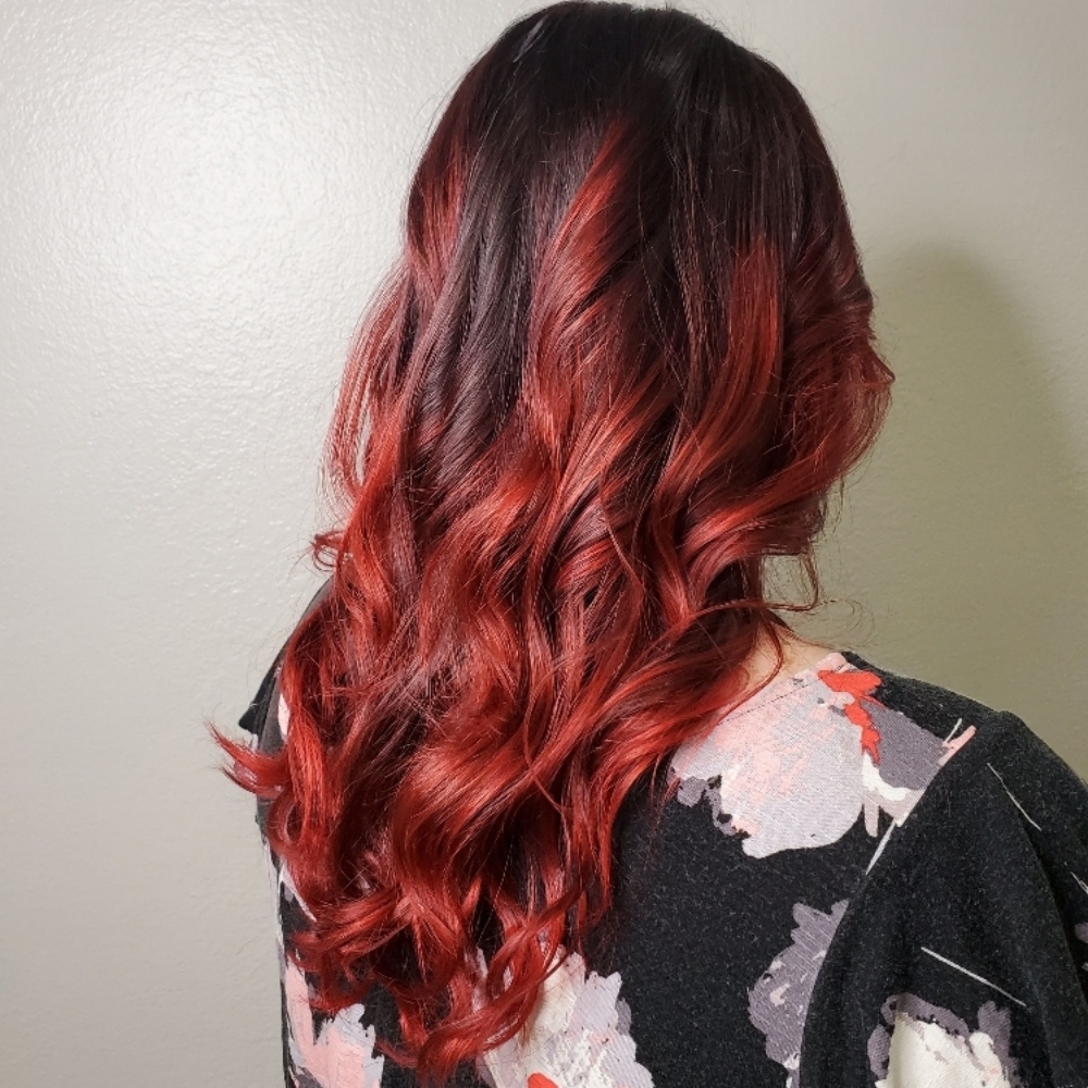 All Over Color(Long Hair)& Cut at Hannah Lindsey/Johnson With Sola Salon in 75601