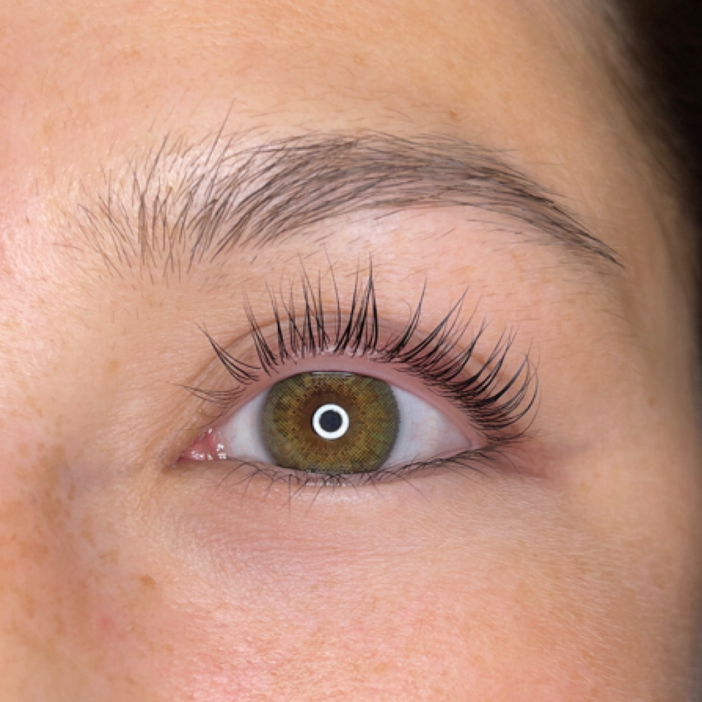 Lash Tint at Studio Blanc in Richardson, TX