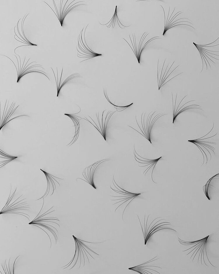 Light Set Lash Extensions