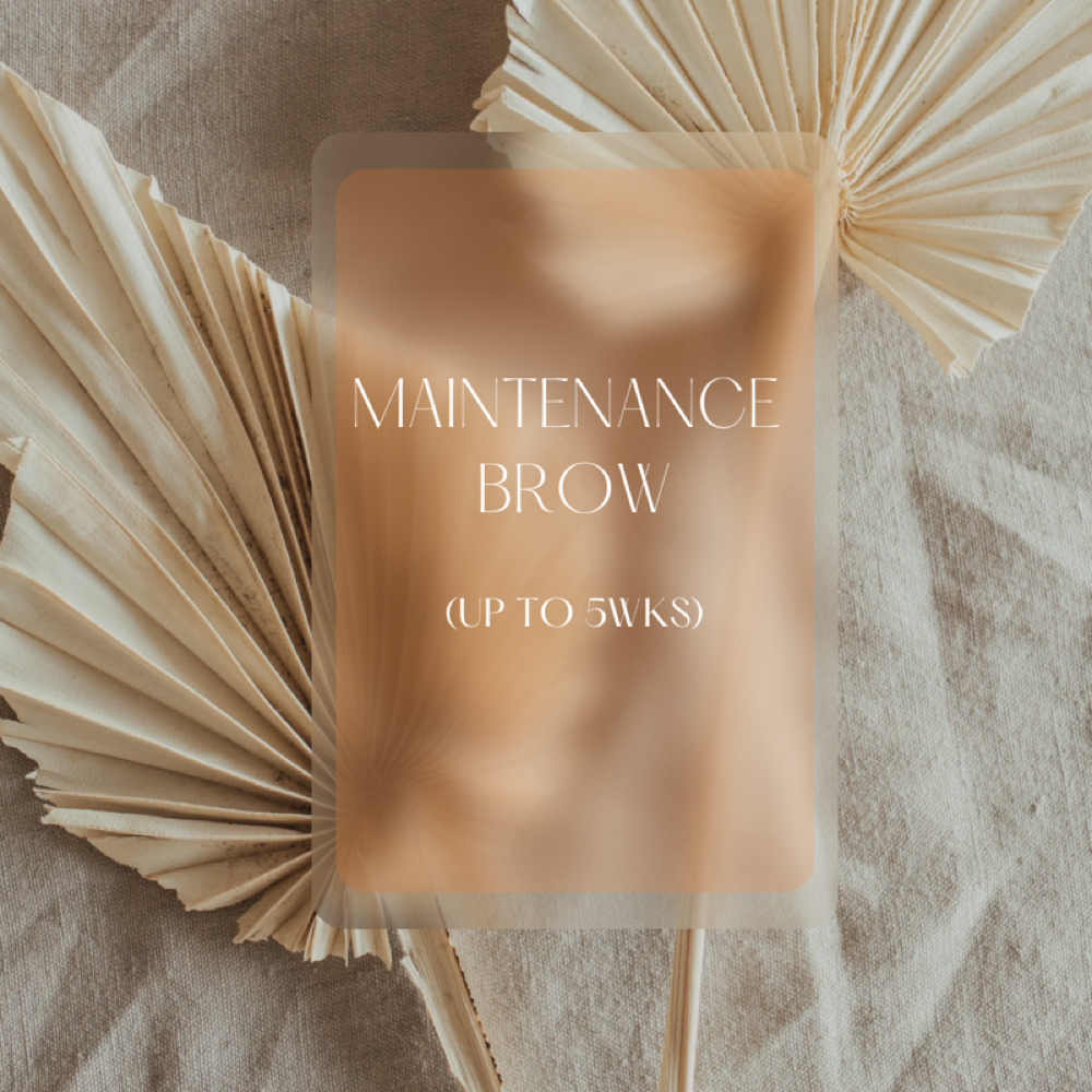 Maintenance Brow [Up To 5wks] at The Beauty Compound in Brooklyn, NY