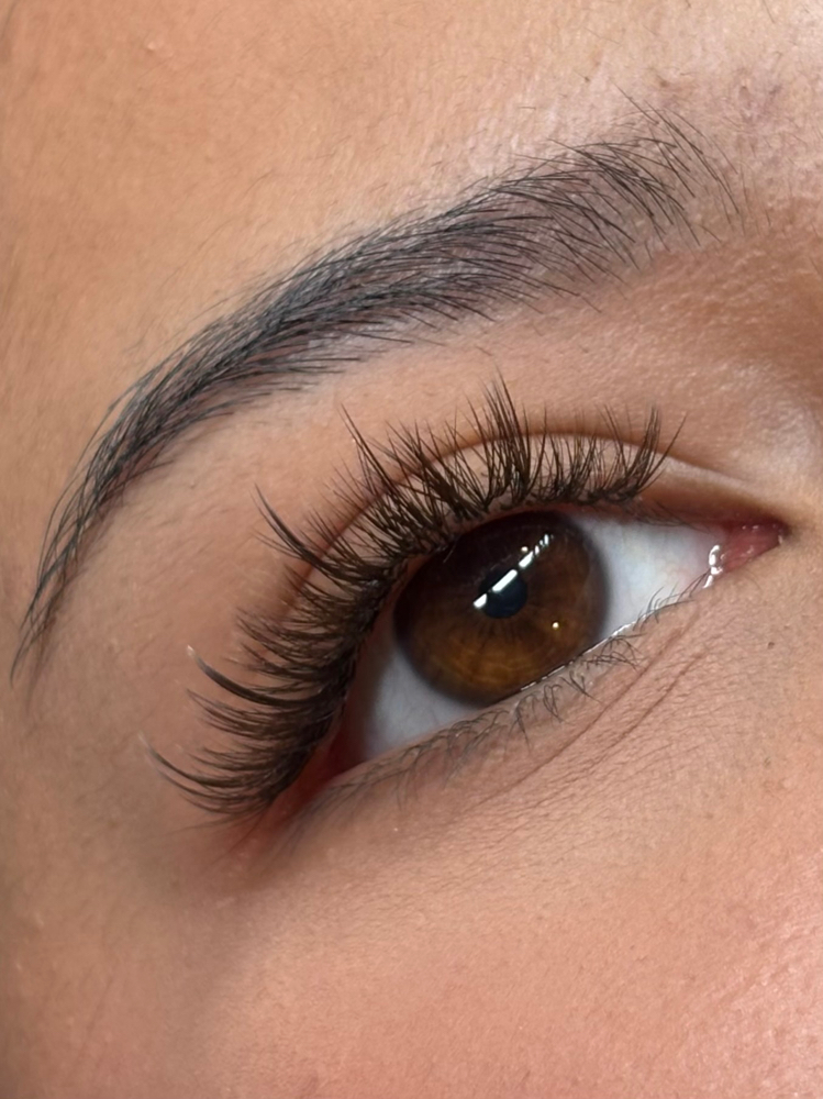 Anime Lash Dream Fill at The Lash Dream in Waxahachie, TX