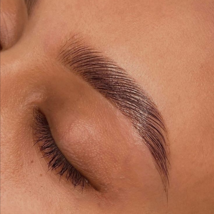 BROW LAMINATION + WAX & HENNA at K. Marrouche Beauty Studio in Fort Myers, FL