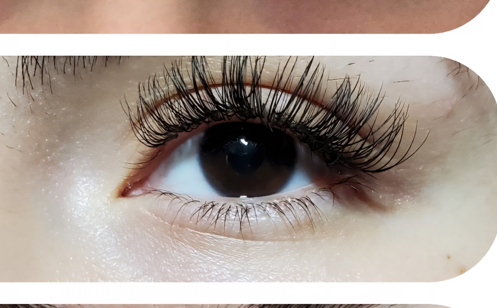 Hybrid Lash Fill