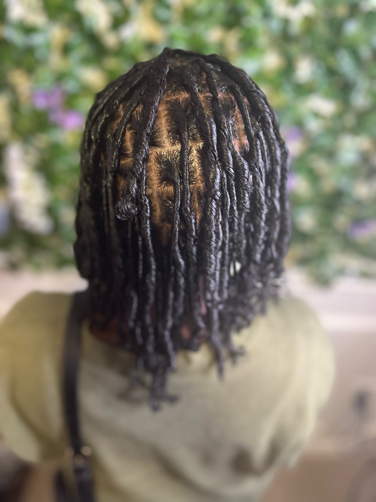 Adult Starter Locs-Coils