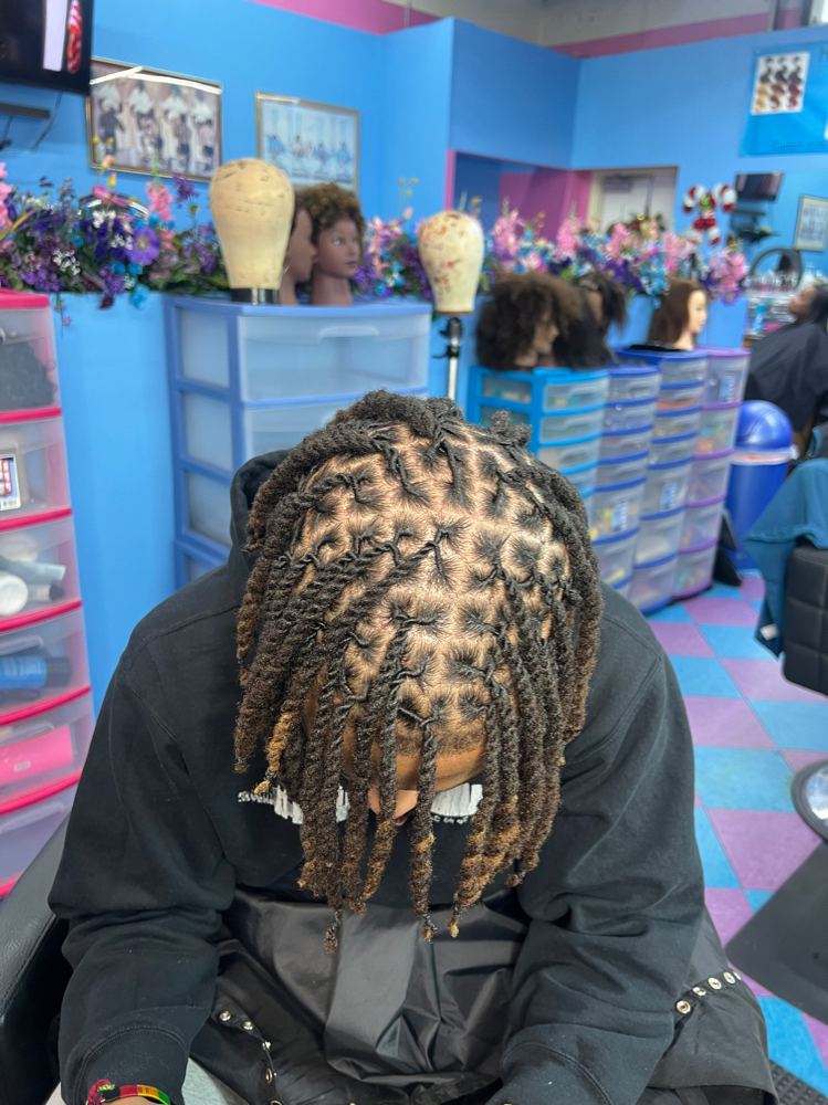 Loc retwist