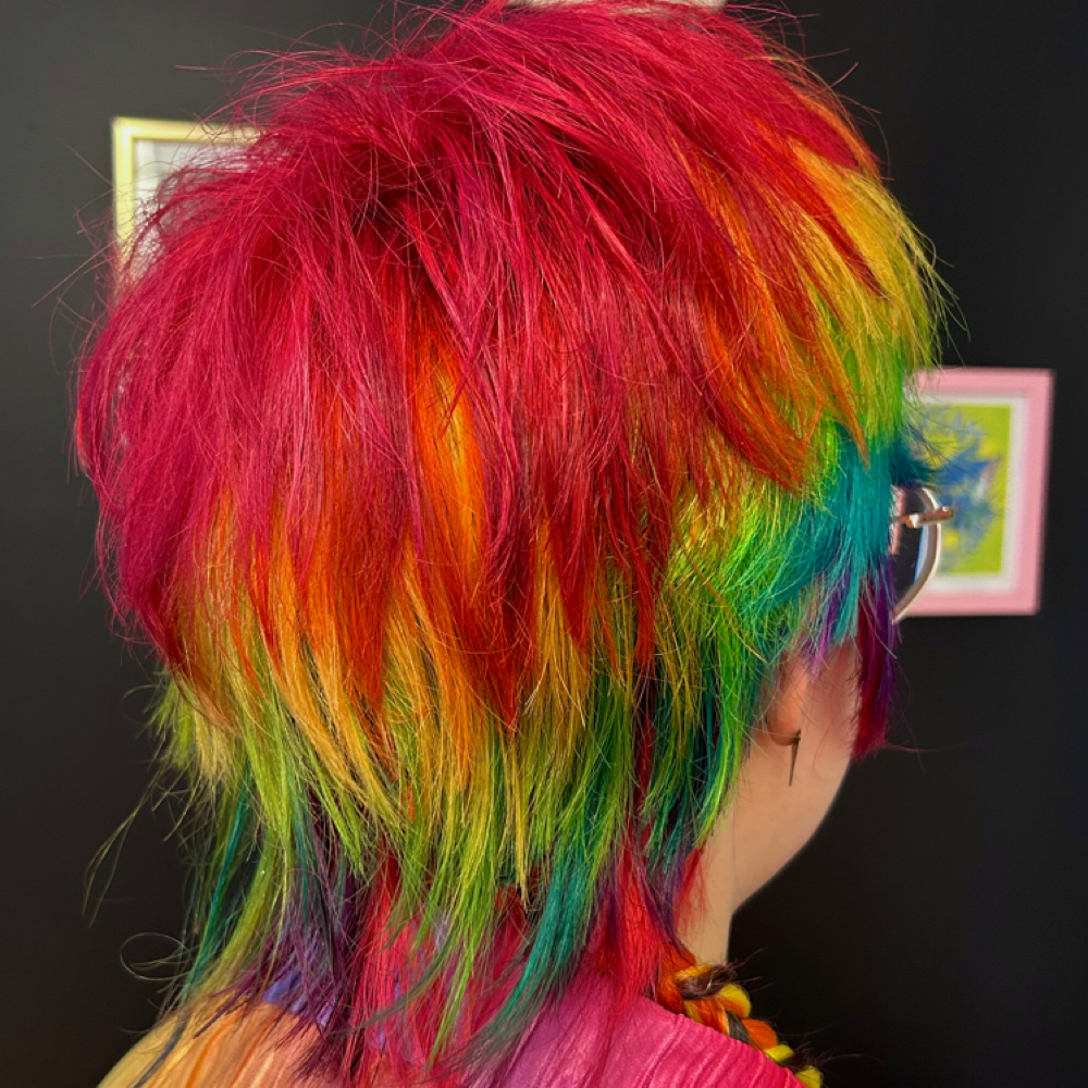 Fantasy Color Full at Megan Makes Manes in Brewer, ME