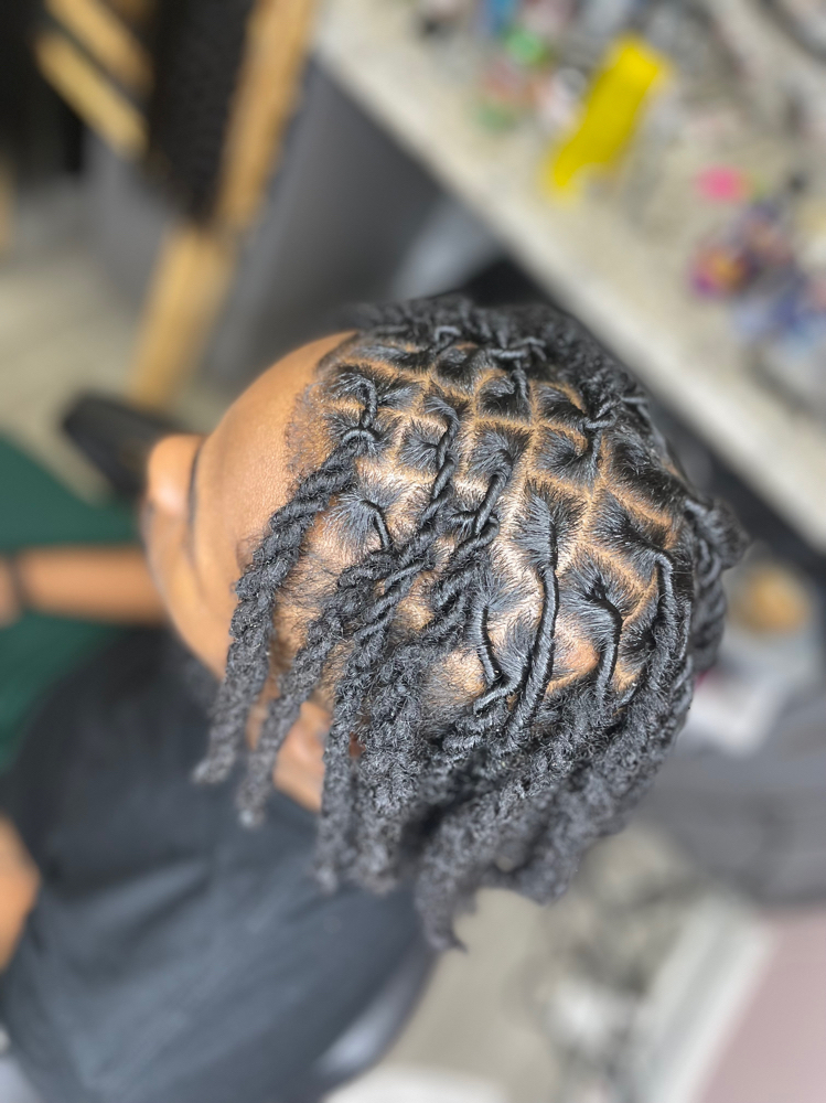 Starter Locs