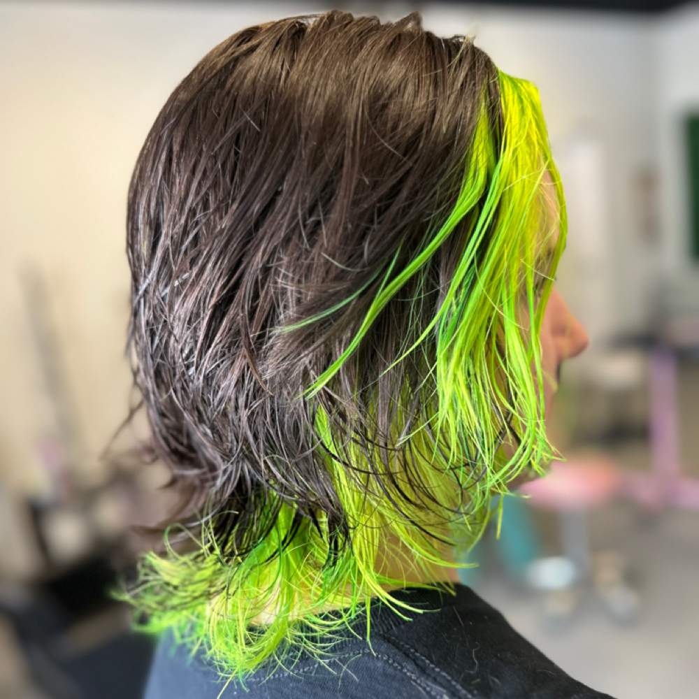 Shampoo & Cut at Expressions Salon & Studio in Anniston, AL