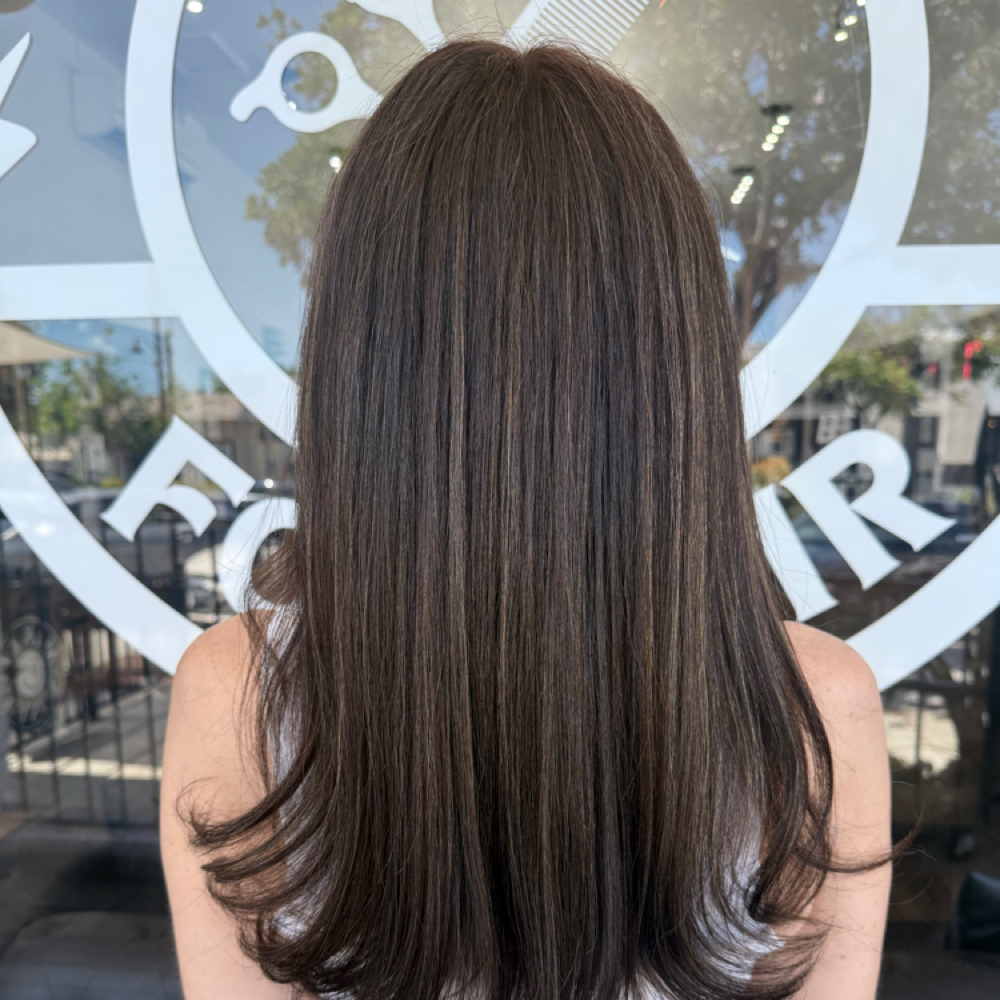 Toner/Gloss Treatment at BusyScissorhands in Vista, CA