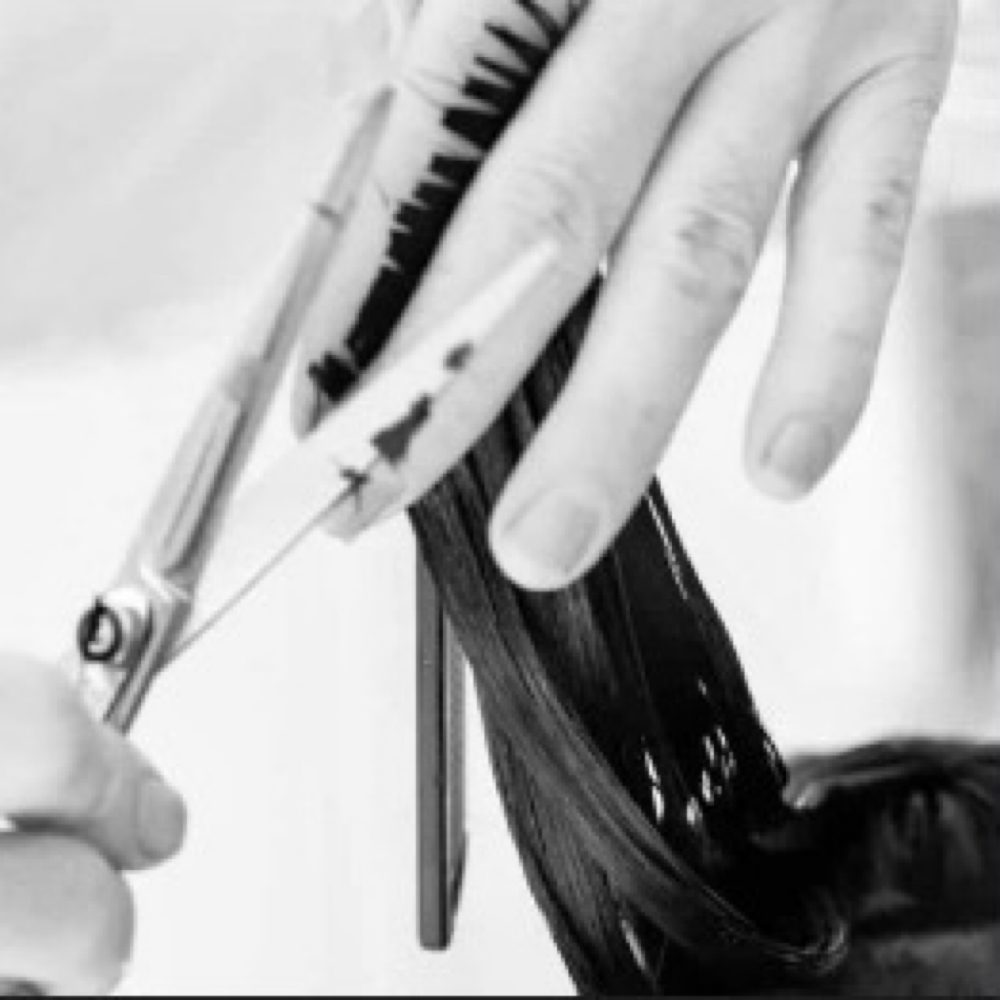 Haircut at Hair Labs in Austin, TX