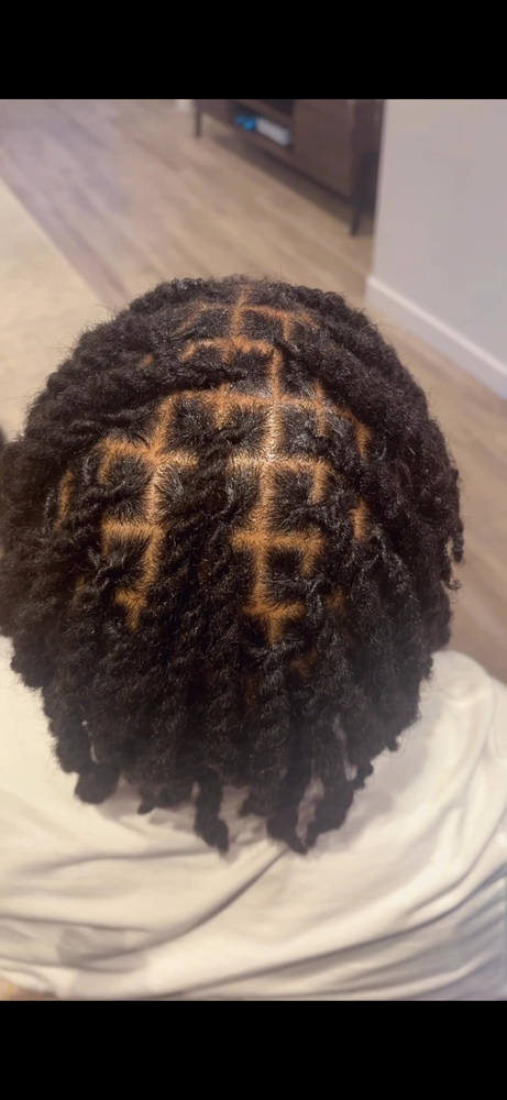 2 Strand Locs