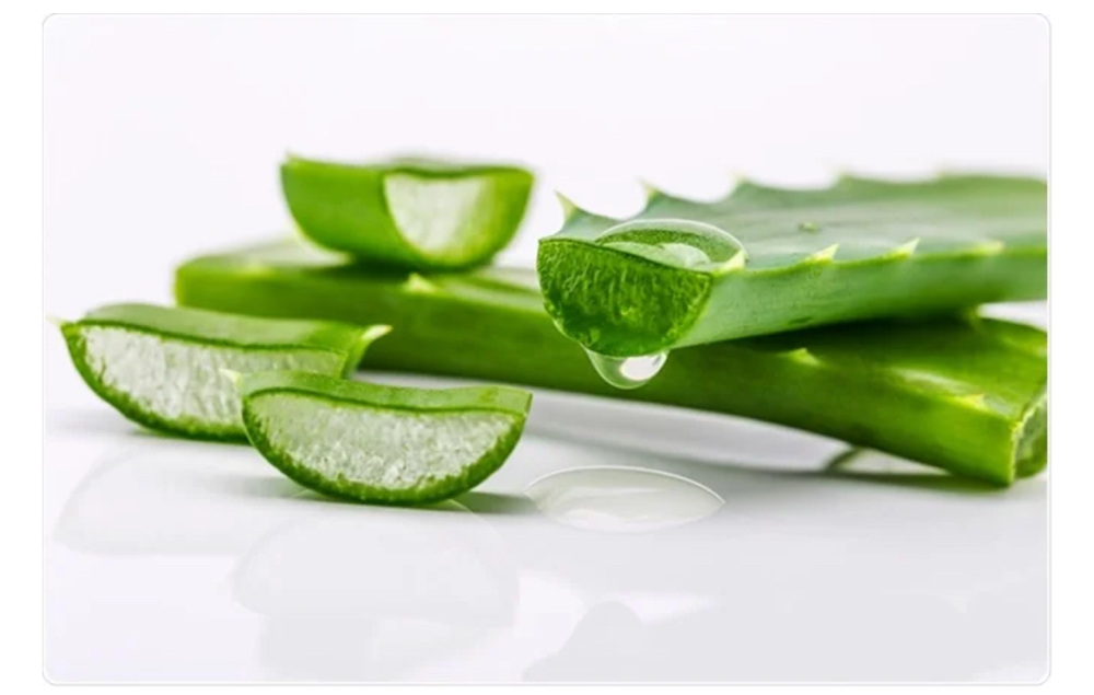 Aloe Vera Treatment