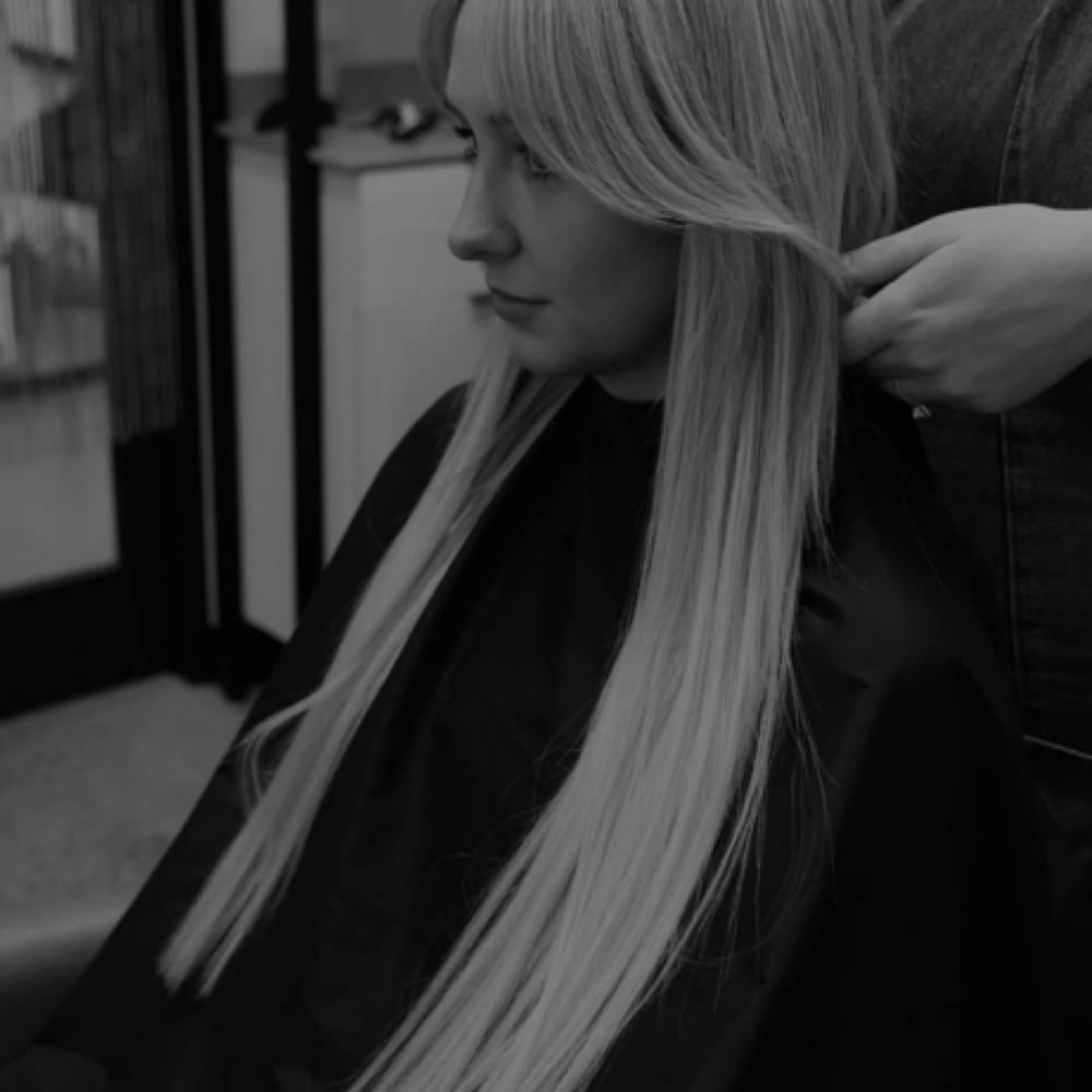 Partial highlight + Haircut at Pure Length Studio in Superior, CO