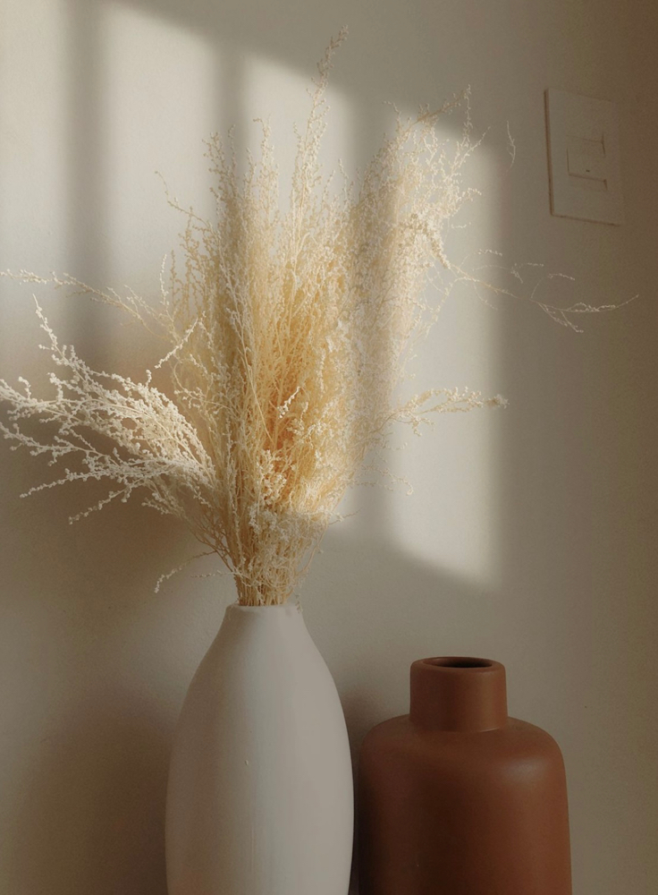brazillian blowout