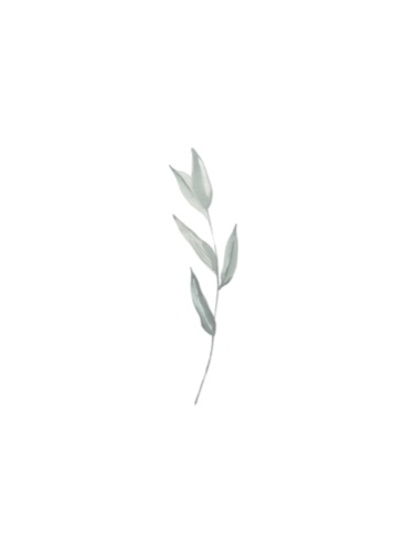 Brow Wax