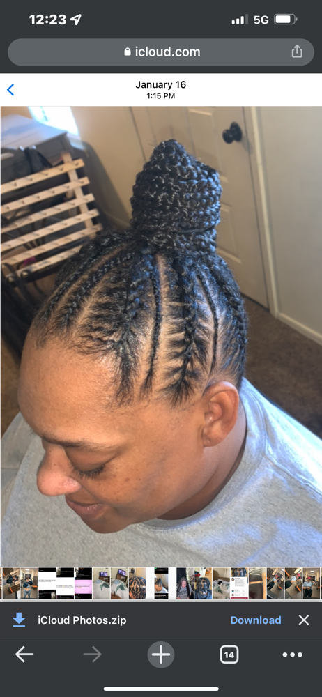 Braided Bun/Ponytail