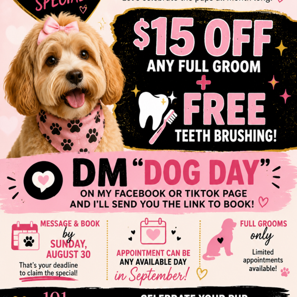September Full Groom Special at Bark All Day Daycare & Grooming in Oklahoma City, OK