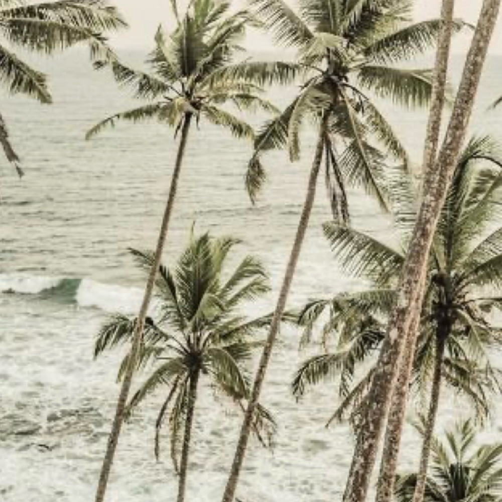 Sun-Kissed Refresh at Salon Canvas & Social in South Pasadena, FL