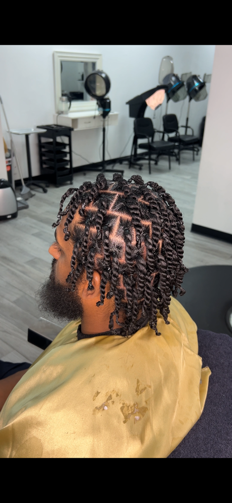 Small Plaits Or 2 Strand Twists