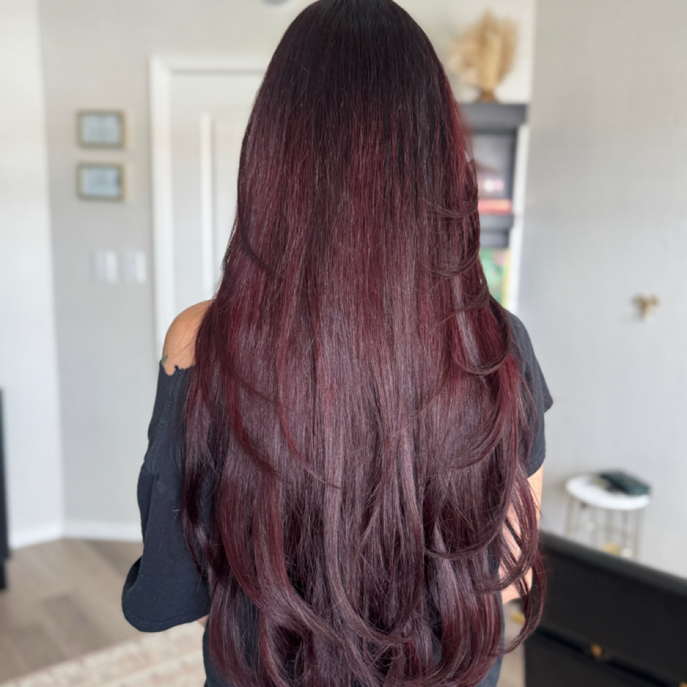 Signature Haircut at Bc Beauty in Las Cruces, NM