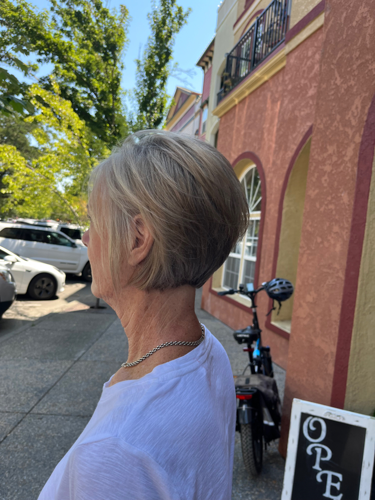 Wash, Hair Cut & Blow Out