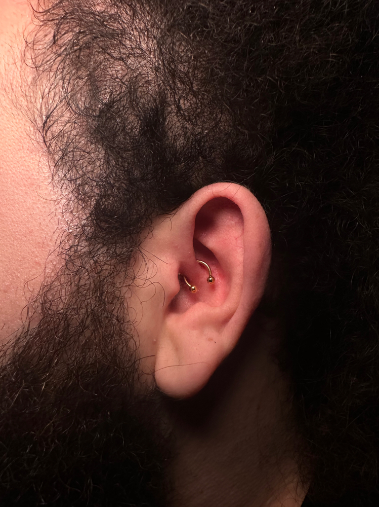 Daith Piercing