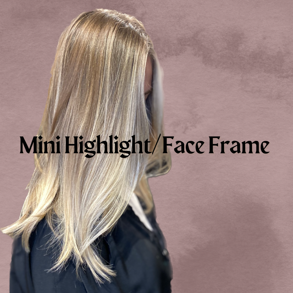 Mini Foil Highlight/Face Frame