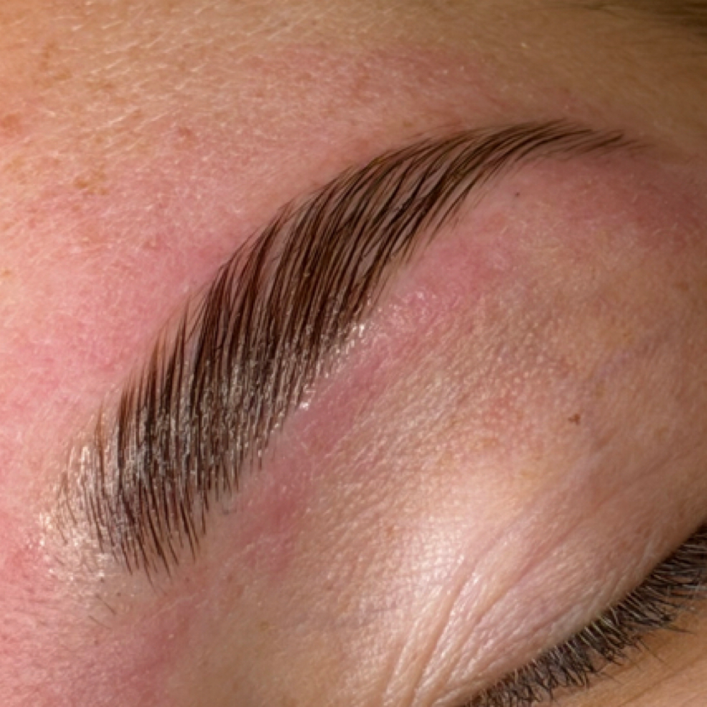 Combo Brows at Beauty Vault By Bella in North Olmsted, OH