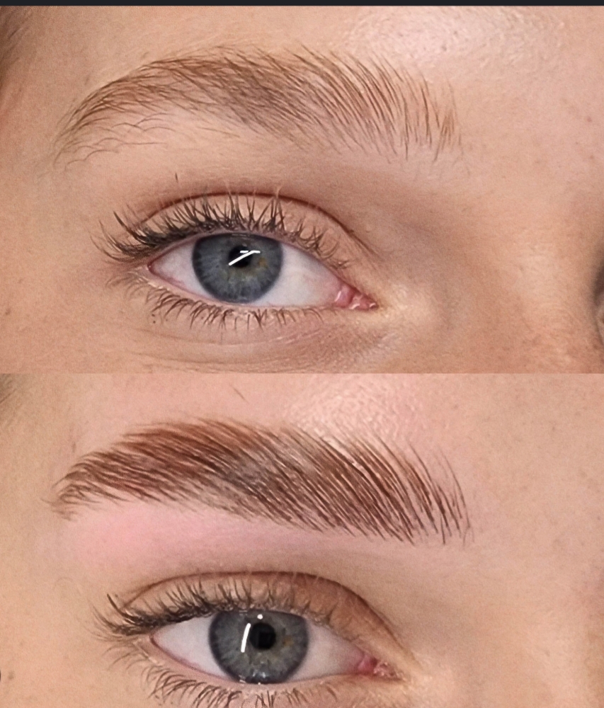 Brow lamination at DianaRosaBrows in Houston, TX