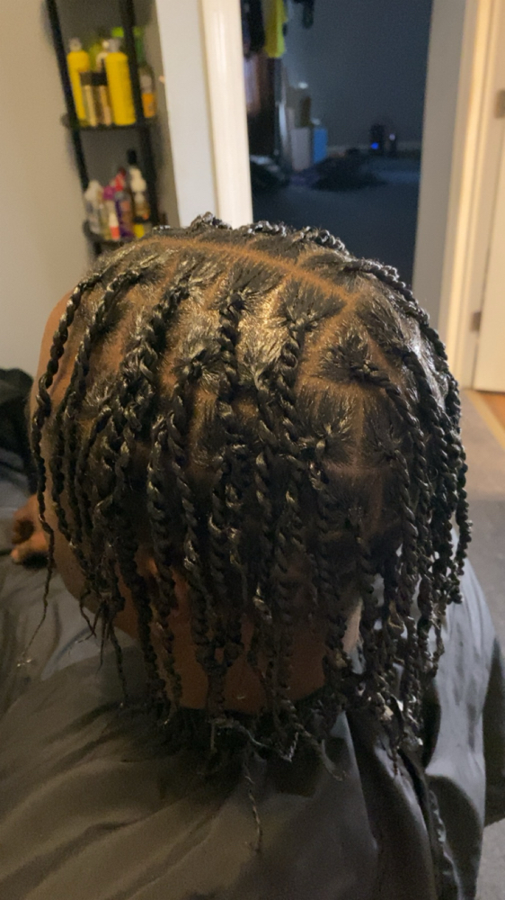 Plaits/ Twists