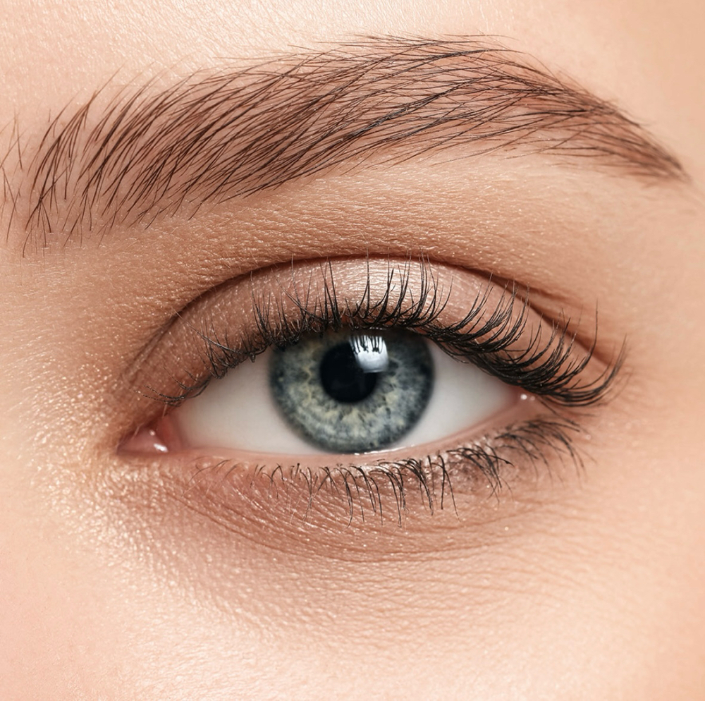 Brow & Lash Tint
