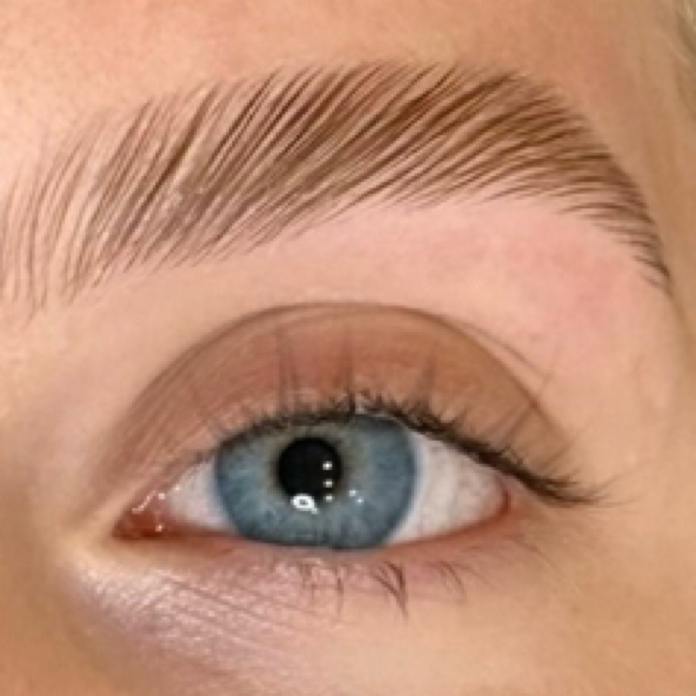Brow Lamination & Tint at Palm Beach Wax Studio & Skincare in Palm Beach Gardens, FL