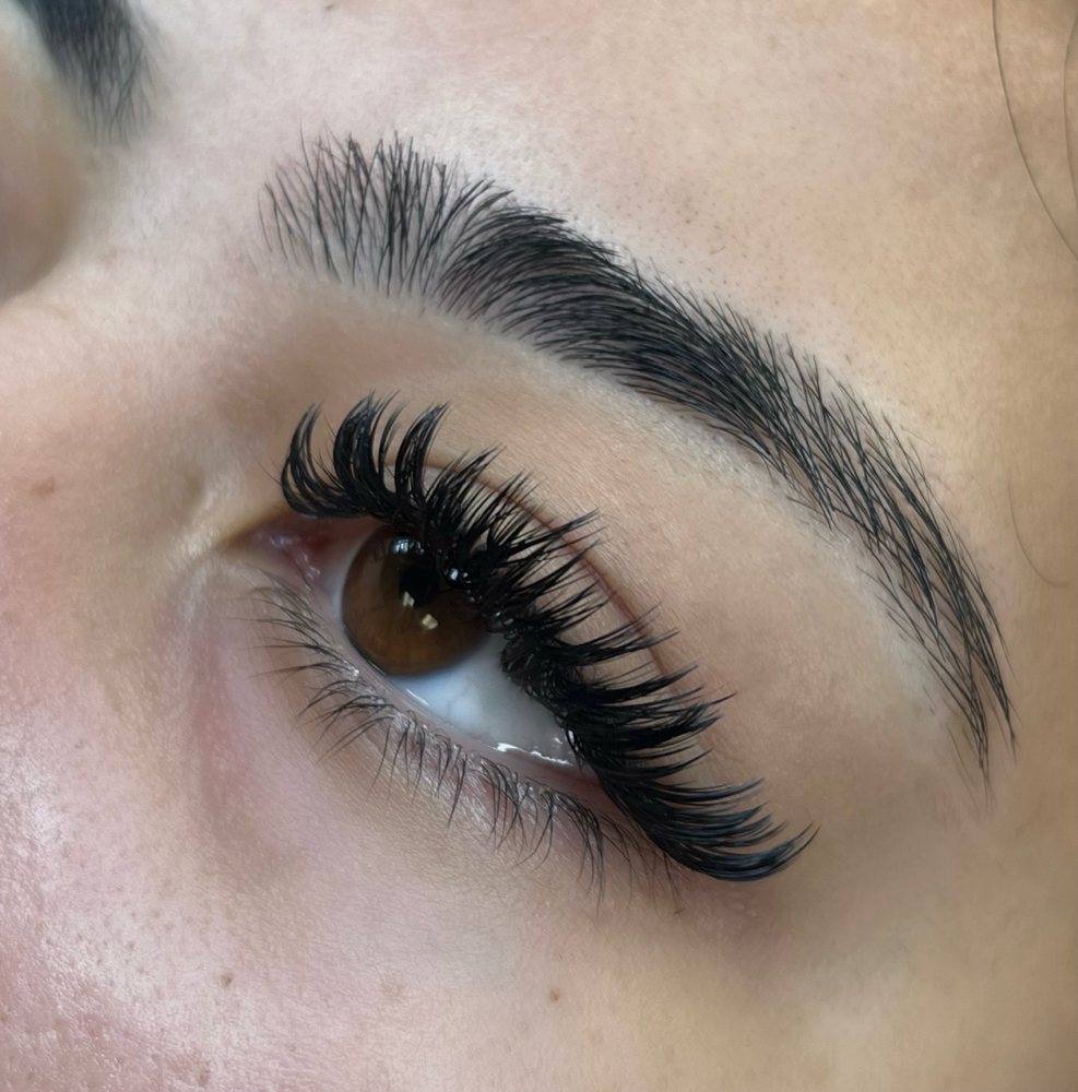 Volume Lashes