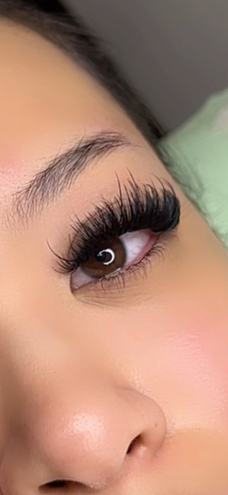 Bottom Lashes