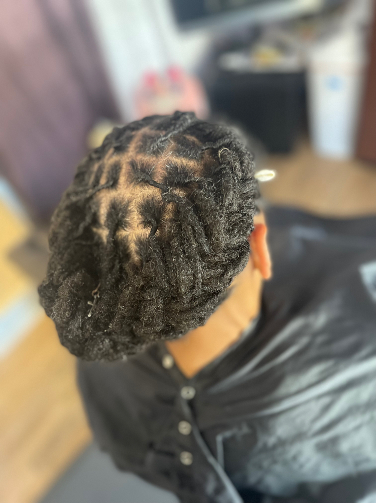 Palm Roll & Style 11-16 Inches