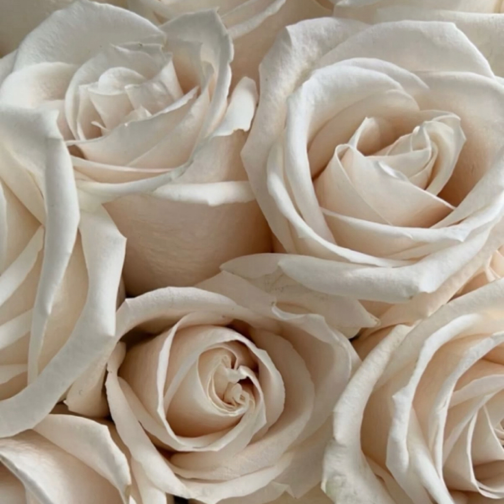 Floral Consultation at Luxe Bloom & Glow Co. in Peoria, AZ