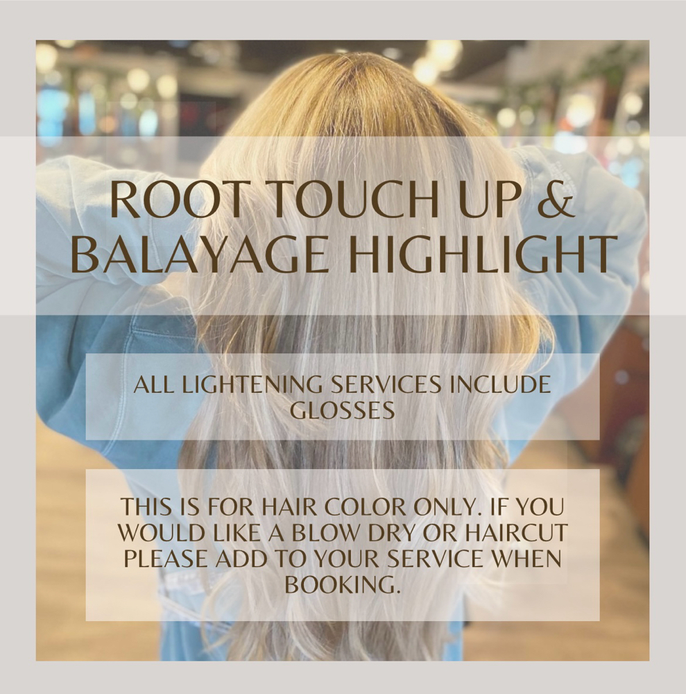 Touch Up & Balayage (Level 2)