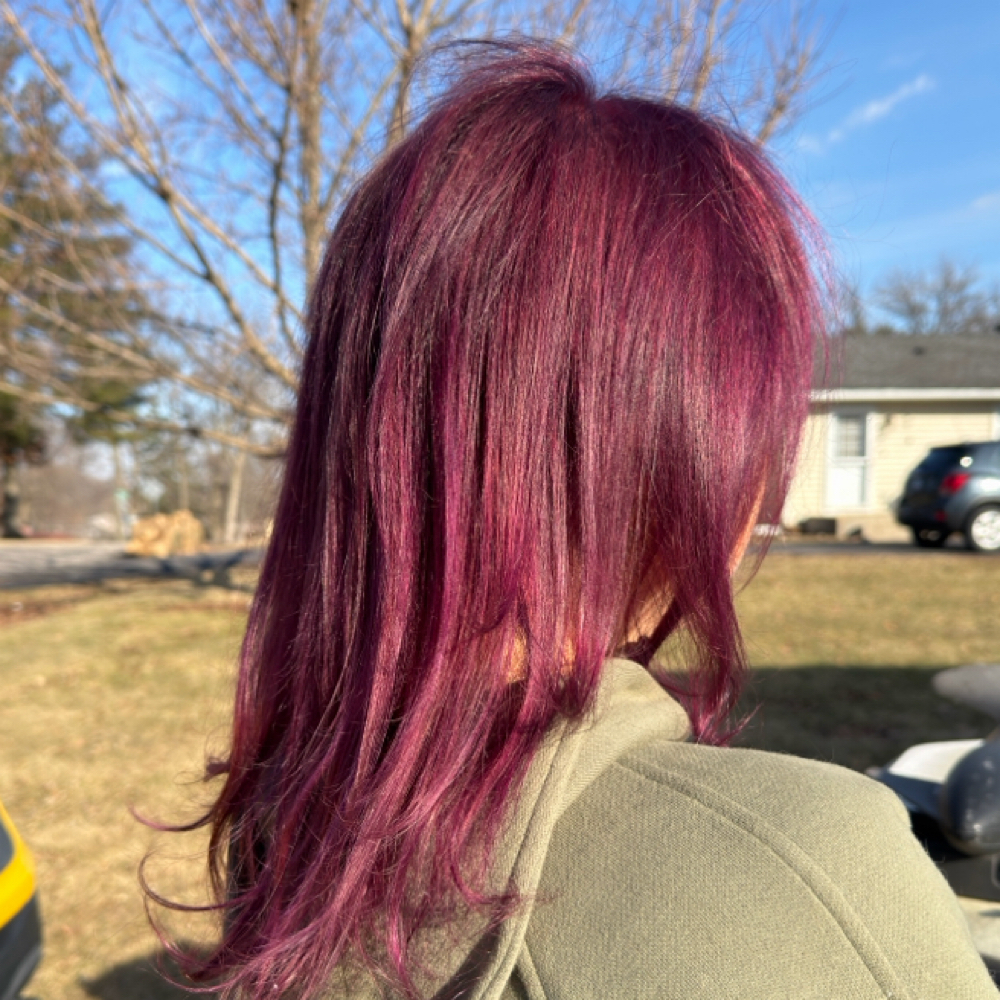 All Over Color at TAYLORMADEBEAUTY LLC in McHenry, IL