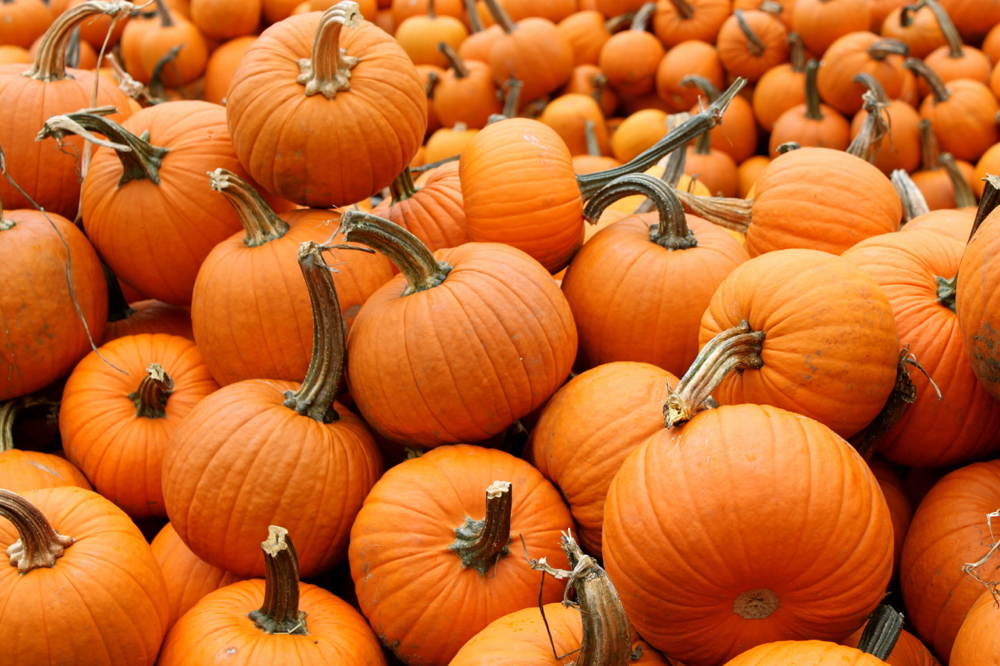 Pumpkin Spice Glow Facial