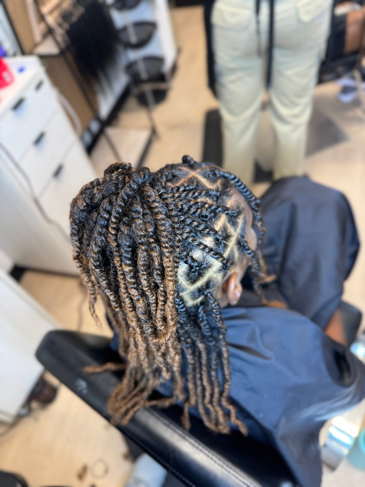 Hair Added Braid/Twist Add On