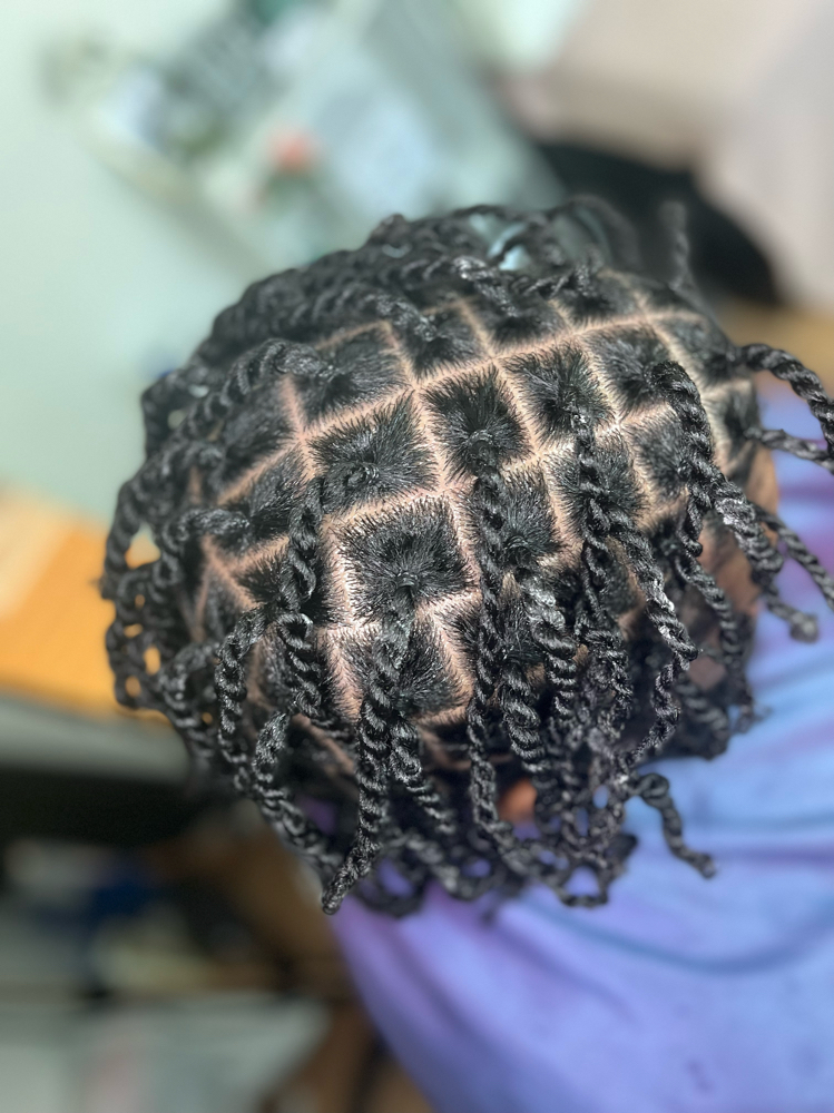 Two Strand Twist Natural Hair Small