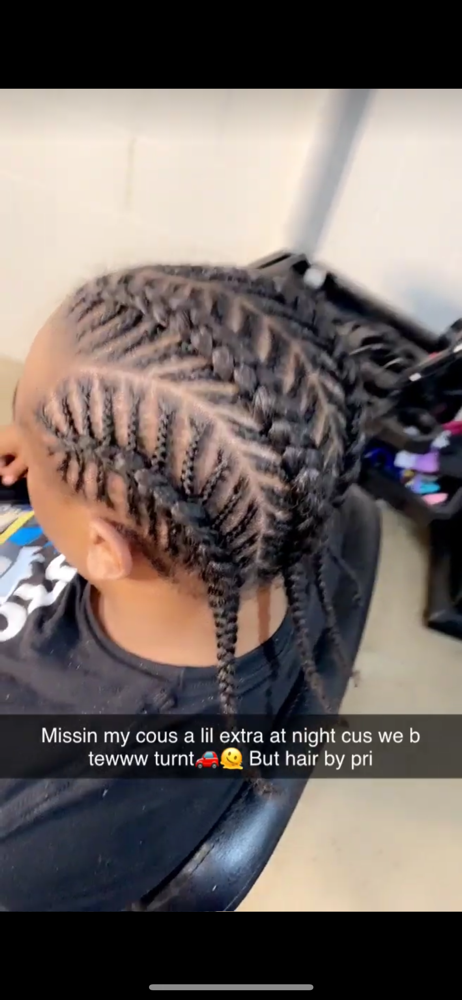 Braided Hairstyle (natural Hair)