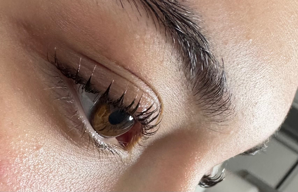 lash lift