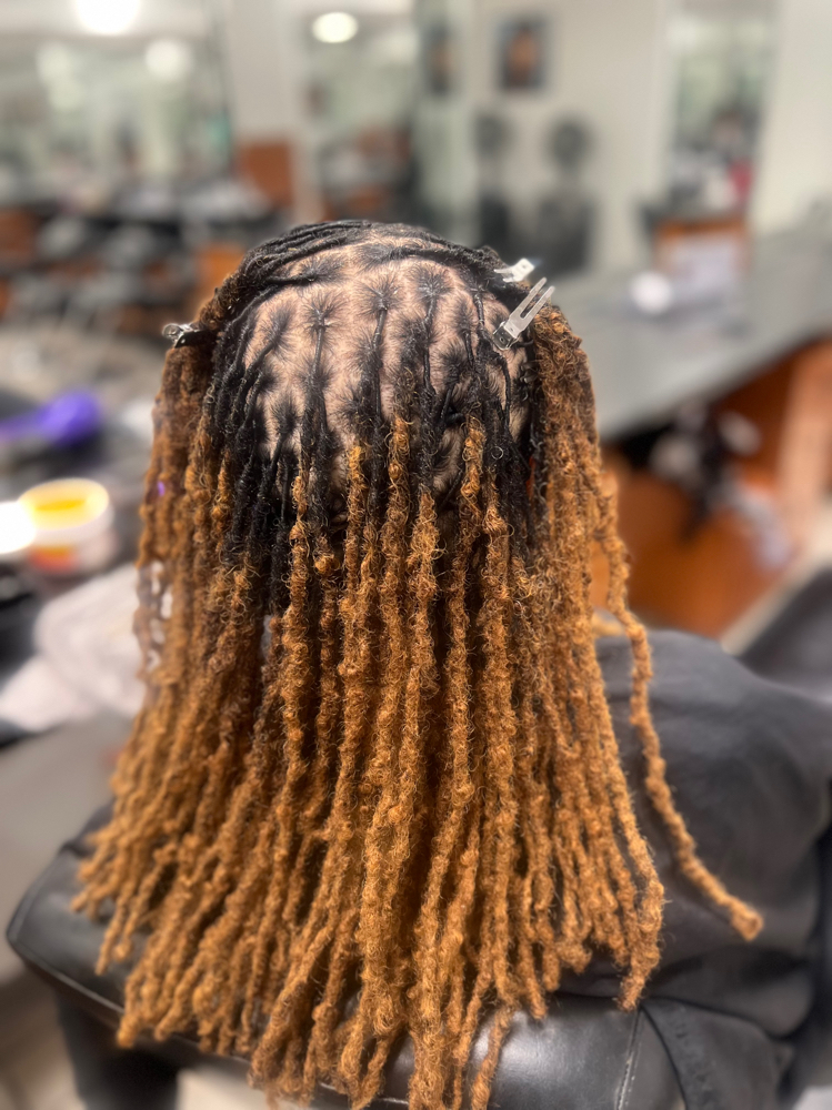 Loc Retwist