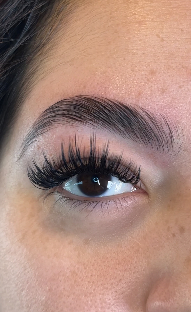 Brow Lami