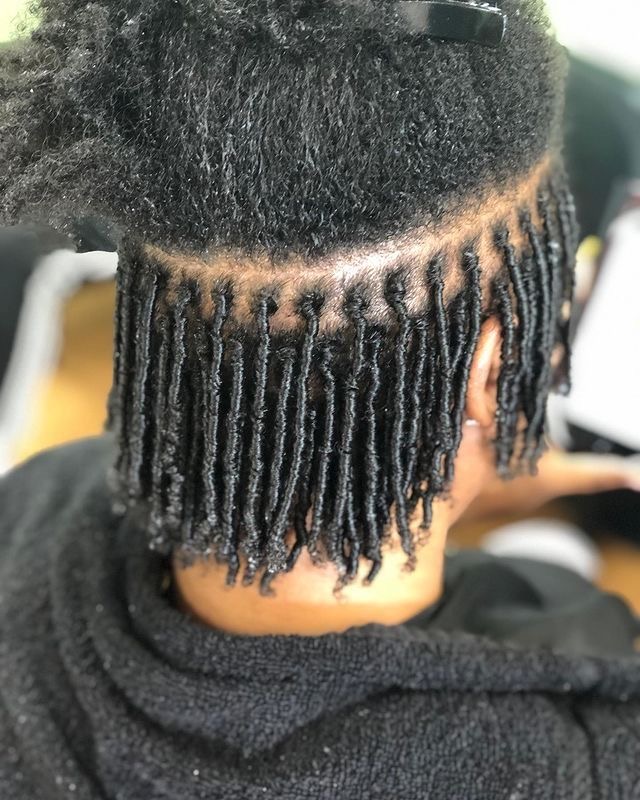 Starter Locs