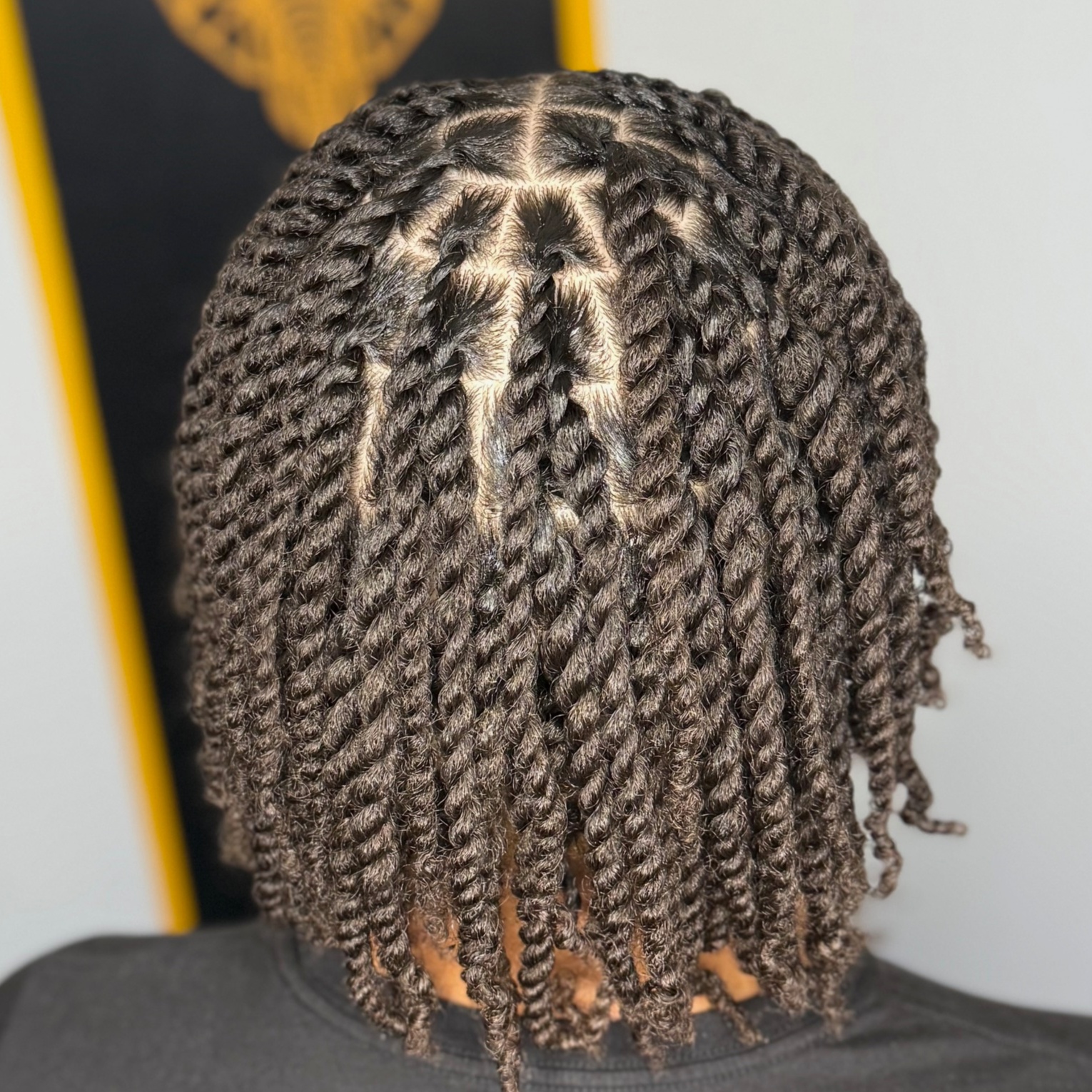 Two-Strand Twists (Natural Hair) at HALOD BEAUTY HOUSE in Jackson, MS